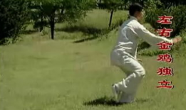 八式太极拳教学视频,轻松入门，体验传统武术魅力