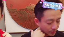 二哈吃瓜娱乐圈小说,娱乐圈的欢乐盛宴